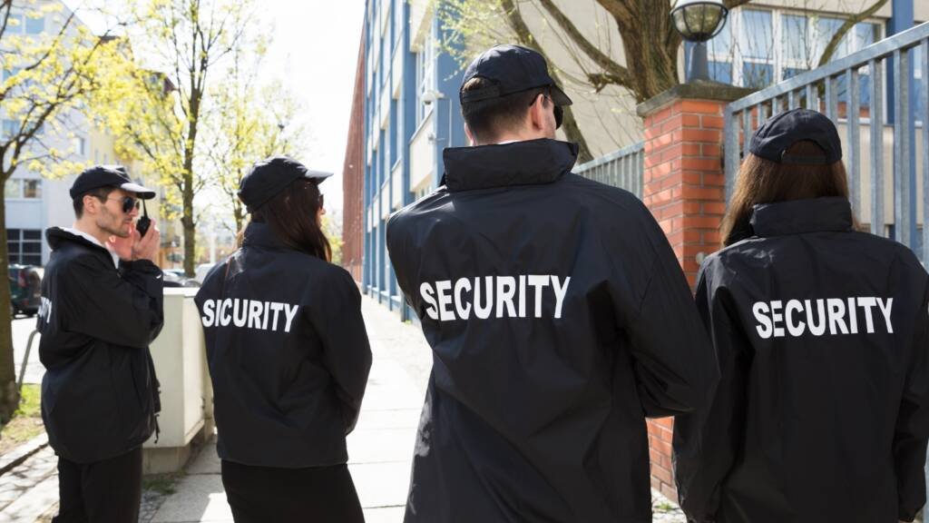 Vortex Prime Security Guards